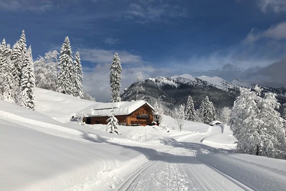 Almhütte Herbstalm im Schnee.
